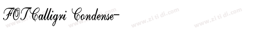 FOTCalligri Condense字体转换
